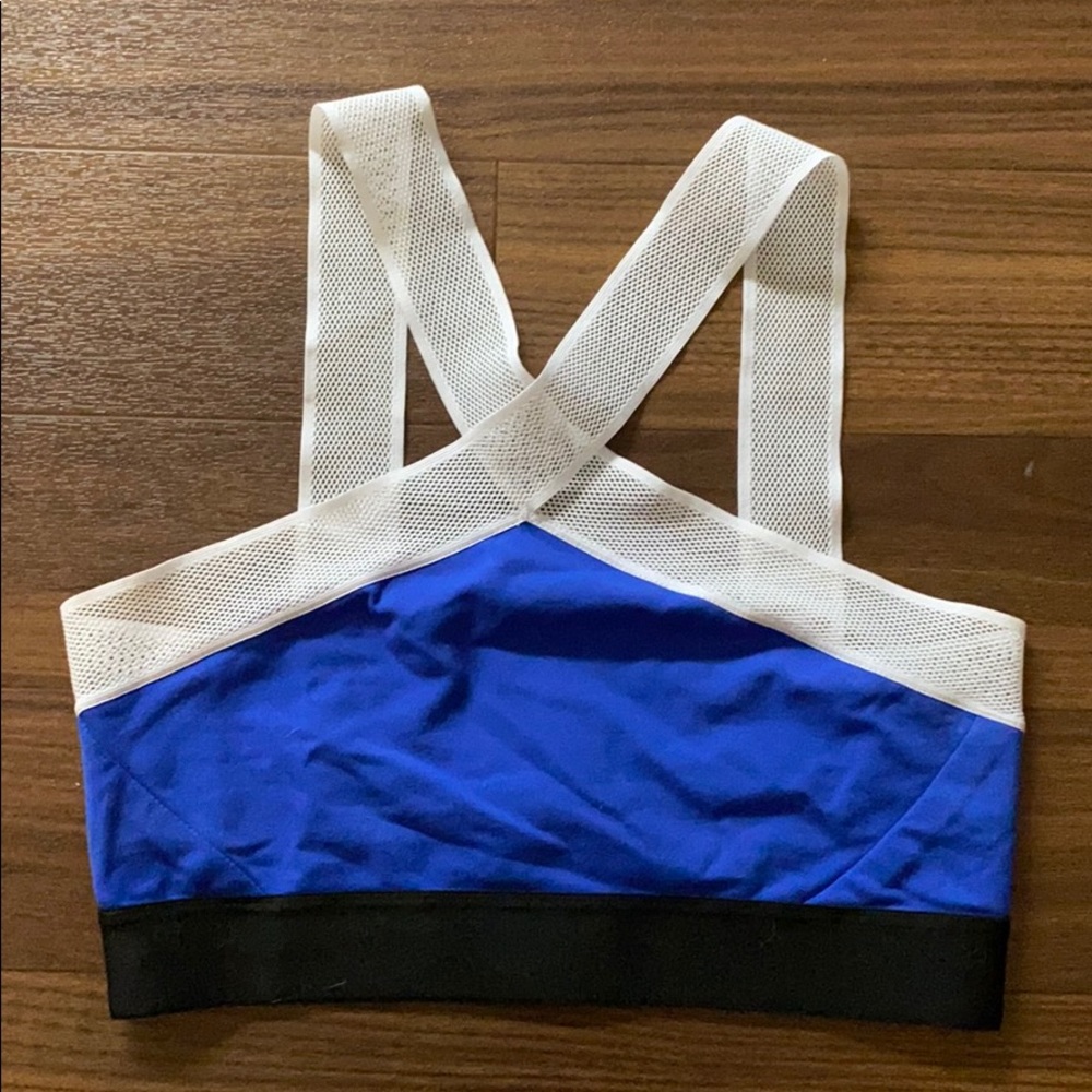 Heroine Sport Blue and White Sports Bra